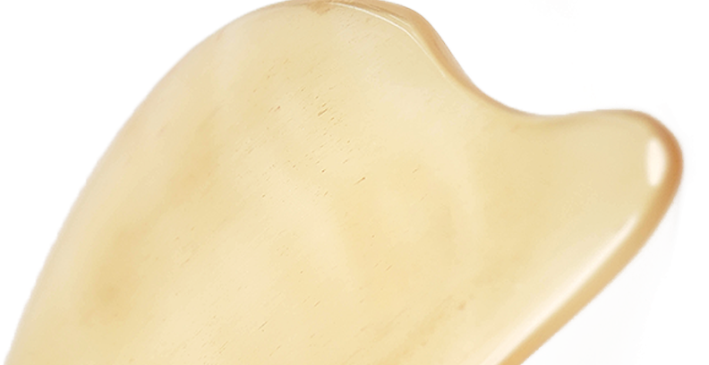 White Horn