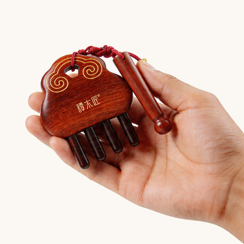 Ensemble de massage du cuir chevelu Lucky Cloud