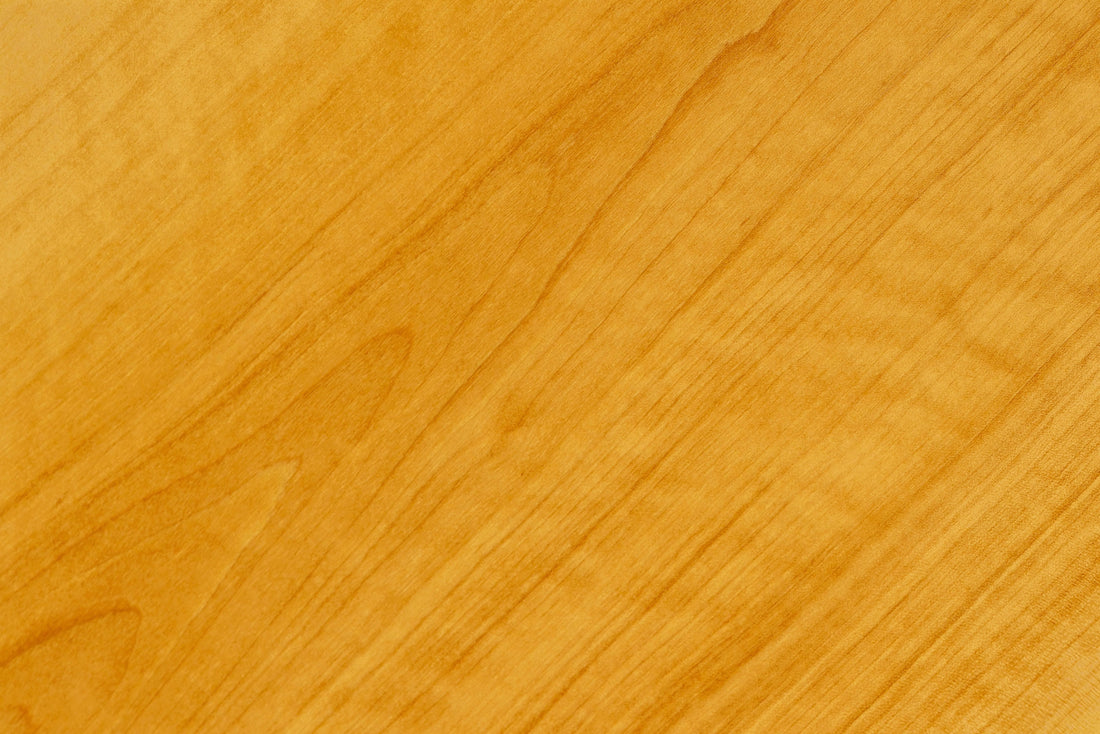 Sparkleberry Boxwood
