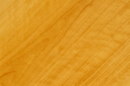 Sparkleberry Boxwood