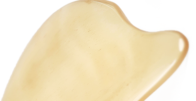 White Horn