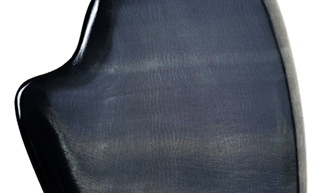 Black Horn