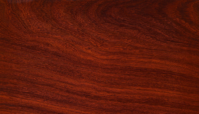 Satine Bloodwood