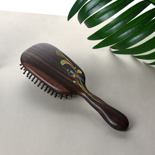 Ebony Wood Hair Brush-Lucky in Life