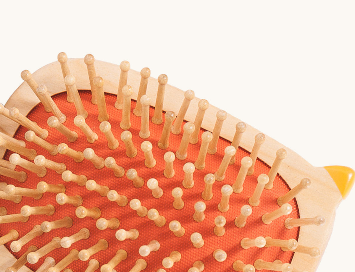 Flame Bird Detangling Hair Brush