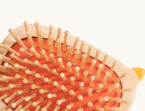 Brosse à cheveux démêlante Flame Bird