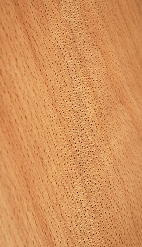 Beech