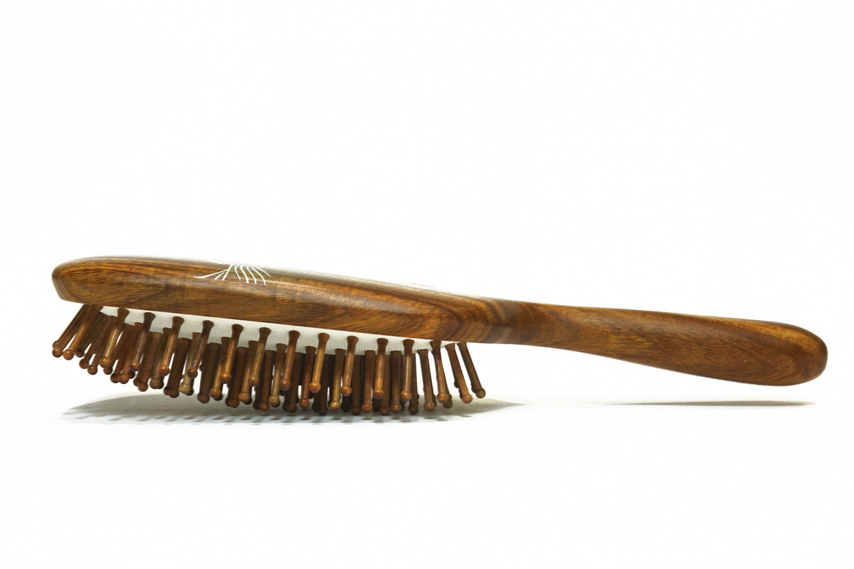 Carp jumping  Paddle hair brush
