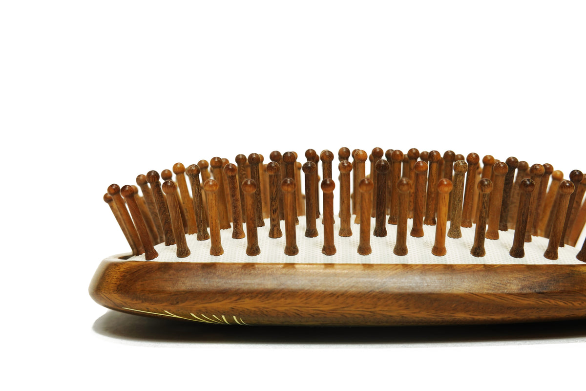 Carp jumping  Paddle hair brush